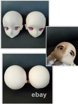 Custom head body & eye collection goods Dollfie Dream japan Volks #2