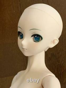 DD Hatsune Miku Dollfie Dream Fashion Doll Figure Vocaloid Volks from Japan NEW