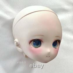 DDH -27 Custom head for MDD Eye only semi-white Hobby Toy Series