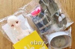 DHL RARE VOLKS Dollfie Dream D'COORD Kyoto18 DD Boy Semi-white Set From JP