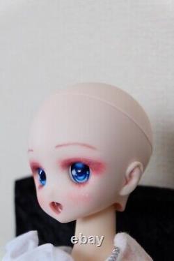 Defective Volks Dollfie Dream DDH-27 Custom Semi-White Head, Pastel Art