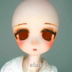 Dollfie Dream Custom head DDH-01 SW MDD Volks no Eye & Wig beauty item #154