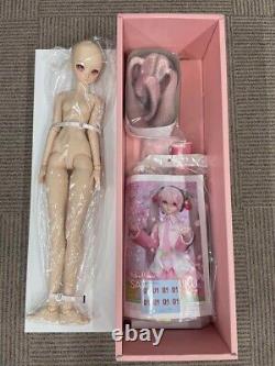 Dollfie Dream Sakura Miku Hatsune Vocaloid Series Figure Volks 2019 Limited