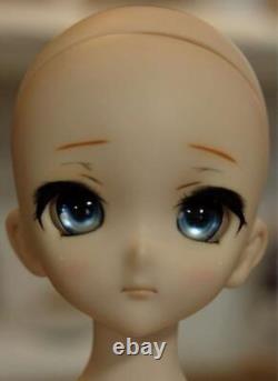 Dollfie Dream Volks Custom Head DD