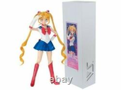 Sailor Moon Sister Sailor Moon Dollfie Dream DDS Volks Limited Doll Japan EMS