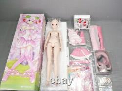 Sakura Miku Dollfie Dream DD Volks Sakura Miku Doll Cherry Blossoms Miku Limited