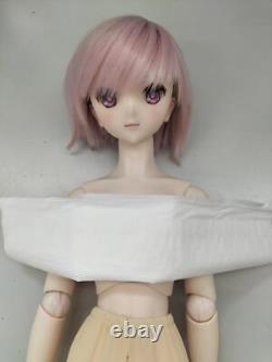 VOLKS Dollfie Dream DD Fate Fate/Grand Order Shielder Mash Kyrielight Doll