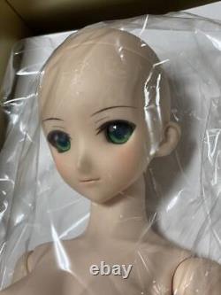 VOLKS Dollfie Dream DD Fate unlimited codes Saber Lily From Japan