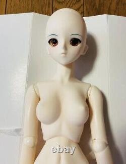 VOLKS Dollfie Dream DD Rei Ayanami Maid Dress Evangelion Eva Doll Figure Japan