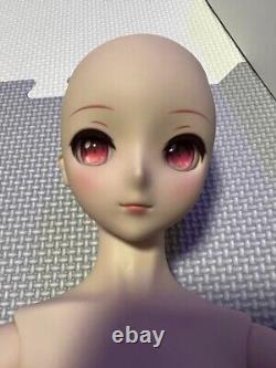 VOLKS Dollfie Dream DD Sakura Miku Figure Vocaloid Used Very Good Condition