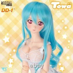 VOLKS Dollfie Dream Dynamite DDdy Towa Doll Figure nno115 466 JAPAN