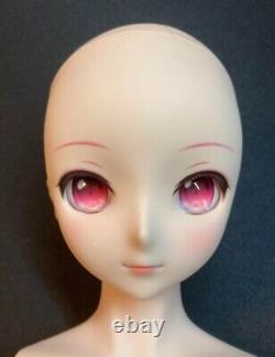 VOLKS Dollfie Dream Hatsune Miku Sakura Miku WithBOX F/S FEDEX