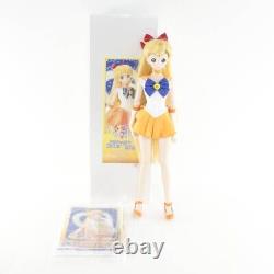 VOLKS Dollfie Dream Sister DDS Sailor Moon Sailor Venus 1/3 Doll Figure RARE