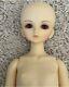 Volks Super Dollfie Yuni Yosd Full Set Bjd Doll 1/6 Doll