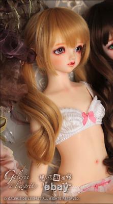 VOLKS Super Dollfie SD Charlotte 2021 Autumn Winter Ver. Dollfie Dream NEW