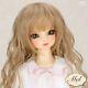 Volks Super Dollfie Sd Dollfie Dream Dd Meru With Random Wig From Japan F/s