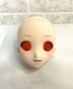 Volks Custom Head Dollfie Dream