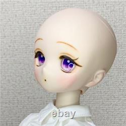 Volks DDH-01 Custom Head only Semi-White with Eye Dollfie Dream doll