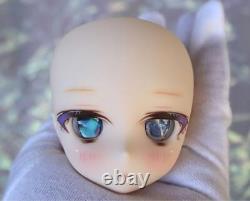 Volks DDH-29 / Semi-white skin Custom head +eye for Dollfie Dream japan