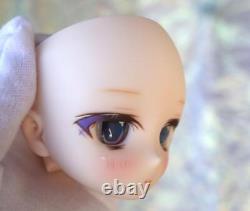 Volks DDH-29 / Semi-white skin Custom head +eye for Dollfie Dream japan