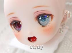 Volks Dollfie Dream DD MDD DDH 22 Custom Head SW