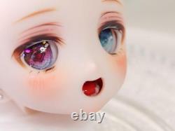 Volks Dollfie Dream DD MDD DDH 22 Custom Head SW