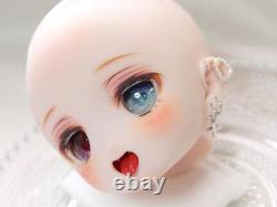 Volks Dollfie Dream DD MDD DDH 22 Custom Head SW