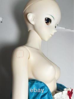 Volks Dollfie Dream DD Rei Ayanami Maid Dress Ver Doll Figure 2007 Rare