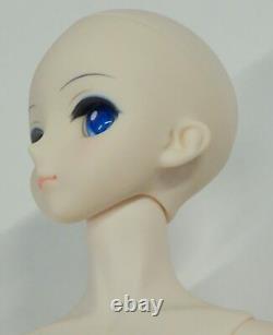 Volks Dollfie Dream DD Vocaloid Snow Miku Doll Hatsune Miku
