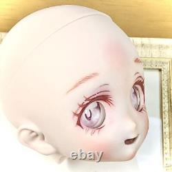 Volks Dollfie Dream DDH-22 Doll Head Tracking Doll Eye Set