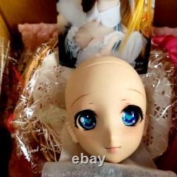 Volks Dollfie Dream DDH Custom Head fresh skin doll japan almost unused