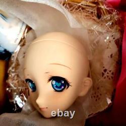 Volks Dollfie Dream DDH Custom Head fresh skin doll japan almost unused