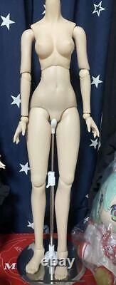 Volks Dollfie Dream M Breast DDS Base Body Doll Fresh