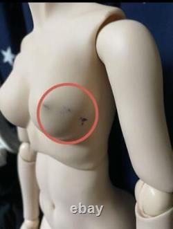 Volks Dollfie Dream M Breast DDS Base Body Doll Fresh