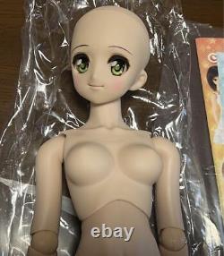 Volks Dollfie Dream Sister Dds Doll Mayu