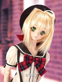 Volks HTDP Kobe Dollfie Dream Sister DDS Akihabana Girl Akira DDS NRFB NEW