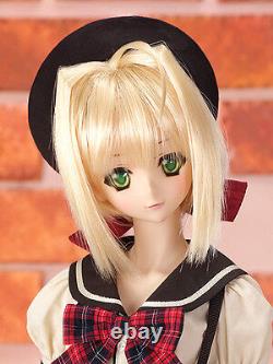 Volks HTDP Kobe Dollfie Dream Sister DDS Akihabana Girl Akira DDS NRFB NEW