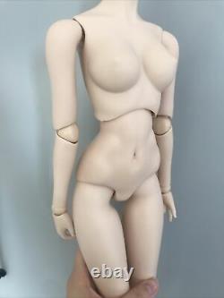Volks Japan Dollfie Dream Base Body DD3 Normal Skin, Option Hands Medium Bust