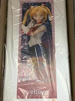 Volks Super Sailor Moon Dollfie Dream DDS doll full sets Limited to 25 years